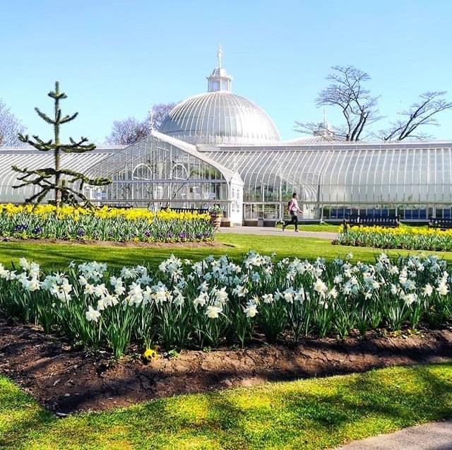 - Click for larger version